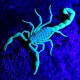 100LED UV Flashlight Ultraviolet Torch with Zoom Function Mini UV Black Light Pet Urine Stains Detector Scorpion Hunting