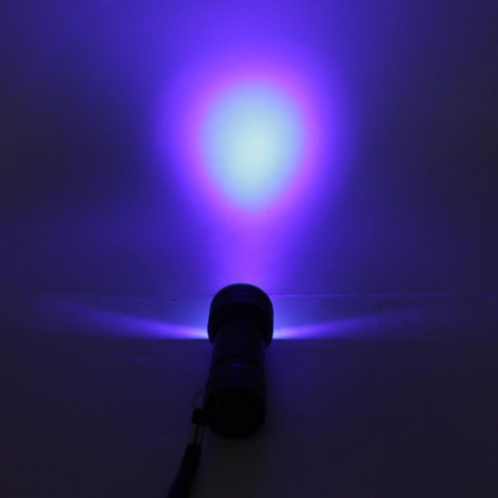 21 LEDs uv395 Portable Aluminum UV Violet Flashlight Mini Violet Torch Currency Detector Lamp Blacklight Light