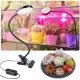 Clip Plant Fill Light LED Grow Light Fleshy Planting Double Head Timing With Clips Like Sun Clip Plant Fill Light LED Grow Light Fleshy Planting Double Head Timing With Clips Like Sun