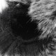 Furry Microphone Windshield Windscreen WIND Muff for Sony ECM-GZ1M Furry Microphone Windshield Windscreen WIND Muff for Sony ECM-GZ1M