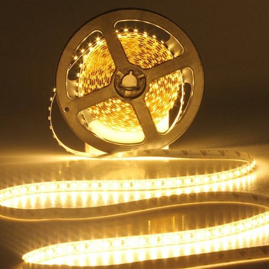 5M 3528 SMD LED Flexible Strip Lights Non-waterproof