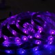 5M 5050 150LED RGB Waterproof Car Decoration Strip Light with IR Remote Controller 5M 5050 150LED RGB Waterproof Car Decoration Strip Light with IR Remote Controller
