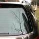 2Pcs Car Rear Window Side Spoiler Spoiler Canard Canards Splitter Glossy Black For VW Passat B7 Wagon/Alltrack 2011-2015