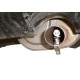Universal Muffler Exhaust Sound Whistler BOV Simulator Universal Muffler Exhaust Sound Whistler BOV Simulator