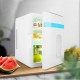 12L Car Home Mini Refrigerator Portable Refrigeration Insulation Appliance Auto Accessories