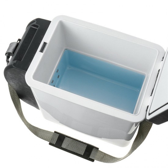 12V 6L Car Refrigerator Freezer Cooler Hot Warmer 2 In 1 for Cars 12V 6L Car Refrigerator Freezer Cooler Hot Warmer 2 In 1 for Cars