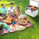 DC 12V - 24V 19L Car Refrigerator with Freezer Cooler portable Outdoor picnic