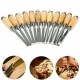 12Pcs Wood Carving Hand Chisel Tool Set Professional Woodworking Gouges Steel