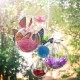 DIY Clear Plastic Bath Bomb Mold with Christmas Ball Decorations 4/5/6/7/8m DIY Clear Plastic Bath Bomb Mold with Christmas Ball Decorations 4/5/6/7/8m