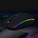 Wired Gaming Mouse 2400DPI RGB Backlight USB Wired Gamer Mice for Desktop Computer Laptop PC
