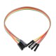 CTS DTR USB Adapter Pro Mini Download cable USB to RS232 TTL Serial Ports CH340 Replace FT232 CP2102 PL2303 UART TB196 CTS DTR USB Adapter Pro Mini Download cable USB to RS232 TTL Serial Ports CH340 Replace FT232 CP2102 PL2303 UART TB196
