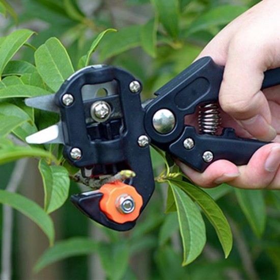 Carbon Steel Fruit Tree Pro Pruning Shears Scissor Grafting Cutting Tools Set
