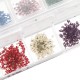 107Pcs/Set Pendant Trays Set DIY Jewelry Bezel Making Crystal Bracelet Pendant Silicone Resin Mould Jewelry Casting Molds Kit Vintage Base 107Pcs/Set Pendant Trays Set DIY Jewelry Bezel Making Crystal Bracelet Pendant Silicone Resin Mould Jewelry Casting Molds Kit Vintage Base