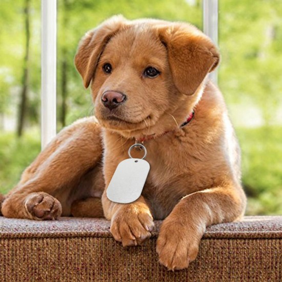 10Pcs 5x3cm Blank Dog Tag Label Stainless Steel 1.2mm 10Pcs 5x3cm Blank Dog Tag Label Stainless Steel 1.2mm