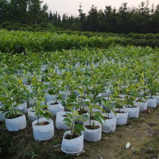 10Pcs Eco-Friendly Round Fabric Pot Planting Pouch Root Grow Aeration Container Seedling Bag Box 10Pcs Eco-Friendly Round Fabric Pot Planting Pouch Root Grow Aeration Container Seedling Bag Box