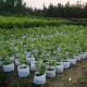 10Pcs Eco-Friendly Round Fabric Pot Planting Pouch Root Grow Aeration Container Seedling Bag Box 10Pcs Eco-Friendly Round Fabric Pot Planting Pouch Root Grow Aeration Container Seedling Bag Box