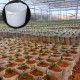 10Pcs Eco-Friendly Round Fabric Pot Planting Pouch Root Grow Aeration Container Seedling Bag Box 10Pcs Eco-Friendly Round Fabric Pot Planting Pouch Root Grow Aeration Container Seedling Bag Box