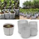 10Pcs Eco-Friendly Round Fabric Pot Planting Pouch Root Grow Aeration Container Seedling Bag Box 10Pcs Eco-Friendly Round Fabric Pot Planting Pouch Root Grow Aeration Container Seedling Bag Box