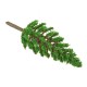 10Pcs Mini Artificial Trees Pine 3.5cm/6.5cm/9.5cm/13cm Home Office Party Decorations 10Pcs Mini Artificial Trees Pine 3.5cm/6.5cm/9.5cm/13cm Home Office Party Decorations