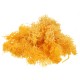 10g Natural Norwegian Reindeer Moss Preserved Dried Craft Preservation Flower Fairy Decorations 10g Natural Norwegian Reindeer Moss Preserved Dried Craft Preservation Flower Fairy Decorations