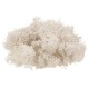 10g Natural Norwegian Reindeer Moss Preserved Dried Craft Preservation Flower Fairy Decorations 10g Natural Norwegian Reindeer Moss Preserved Dried Craft Preservation Flower Fairy Decorations