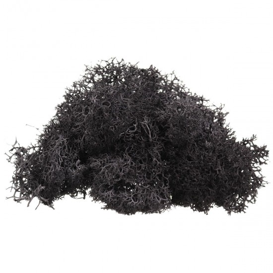 10g Natural Norwegian Reindeer Moss Preserved Dried Craft Preservation Flower Fairy Decorations 10g Natural Norwegian Reindeer Moss Preserved Dried Craft Preservation Flower Fairy Decorations