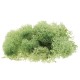 10g Natural Norwegian Reindeer Moss Preserved Dried Craft Preservation Flower Fairy Decorations 10g Natural Norwegian Reindeer Moss Preserved Dried Craft Preservation Flower Fairy Decorations