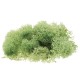 10g Natural Norwegian Reindeer Moss Preserved Dried Craft Preservation Flower Fairy Decorations