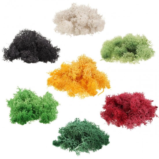 10g Natural Norwegian Reindeer Moss Preserved Dried Craft Preservation Flower Fairy Decorations