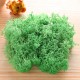 10g Natural Norwegian Reindeer Moss Preserved Dried Craft Preservation Flower Fairy Decorations 10g Natural Norwegian Reindeer Moss Preserved Dried Craft Preservation Flower Fairy Decorations