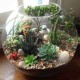 11Pcs/Set Artificial Succulent Flower Floral Plants Home Garden DIY Landscape Decorations 11Pcs/Set Artificial Succulent Flower Floral Plants Home Garden DIY Landscape Decorations