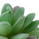 11Pcs/Set Artificial Succulent Flower Floral Plants Home Garden DIY Landscape Decorations 11Pcs/Set Artificial Succulent Flower Floral Plants Home Garden DIY Landscape Decorations