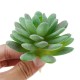 11Pcs/Set Artificial Succulent Flower Floral Plants Home Garden DIY Landscape Decorations