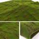 1*1m Micro Landscape Hang Wall Artificial Moss Grass Plant Lawn Home Decorations