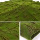 1*1m Micro Landscape Hang Wall Artificial Moss Grass Plant Lawn Home Decorations 1*1m Micro Landscape Hang Wall Artificial Moss Grass Plant Lawn Home Decorations