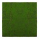 1*1m Micro Landscape Hang Wall Artificial Moss Grass Plant Lawn Home Decorations 1*1m Micro Landscape Hang Wall Artificial Moss Grass Plant Lawn Home Decorations