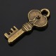 11pcs Mixed Antique Vtg old look Ornate Bronze Skeleton Keys Lot Pendant Fancy Heart Decorations 11pcs Mixed Antique Vtg old look Ornate Bronze Skeleton Keys Lot Pendant Fancy Heart Decorations
