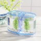 1/2 Grids Mini Betta Aquarium Fish Tank Isolation Box Portable With Divider 1/2 Grids Mini Betta Aquarium Fish Tank Isolation Box Portable With Divider