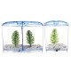 1/2 Grids Mini Betta Aquarium Fish Tank Isolation Box Portable With Divider 1/2 Grids Mini Betta Aquarium Fish Tank Isolation Box Portable With Divider