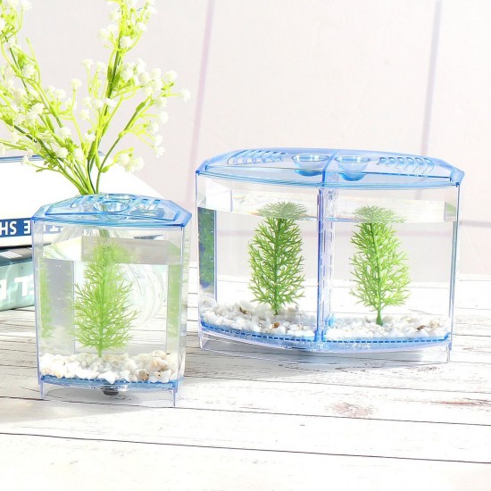 1/2 Grids Mini Betta Aquarium Fish Tank Isolation Box Portable With Divider 1/2 Grids Mini Betta Aquarium Fish Tank Isolation Box Portable With Divider