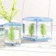 1/2 Grids Mini Betta Aquarium Fish Tank Isolation Box Portable With Divider 1/2 Grids Mini Betta Aquarium Fish Tank Isolation Box Portable With Divider