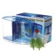 1/2 Grids Mini Betta Aquarium Fish Tank Isolation Box Portable With Divider 1/2 Grids Mini Betta Aquarium Fish Tank Isolation Box Portable With Divider