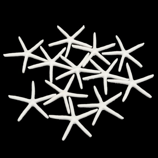 12Pcs Beautiful White Finger Starfish 3-4 inch Beach Wedding Coastal Decorations 12Pcs Beautiful White Finger Starfish 3-4 inch Beach Wedding Coastal Decorations
