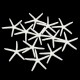 12Pcs Beautiful White Finger Starfish 3-4 inch Beach Wedding Coastal Decorations 12Pcs Beautiful White Finger Starfish 3-4 inch Beach Wedding Coastal Decorations