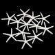 12Pcs Beautiful White Finger Starfish 3-4 inch Beach Wedding Coastal Decorations