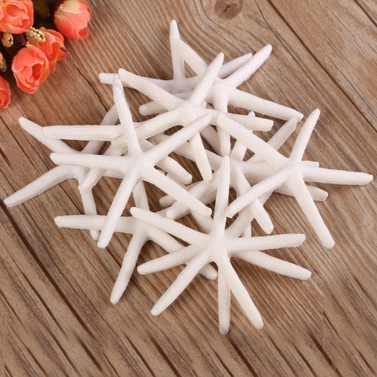 12Pcs Beautiful White Finger Starfish 3-4 inch Beach Wedding Coastal Decorations