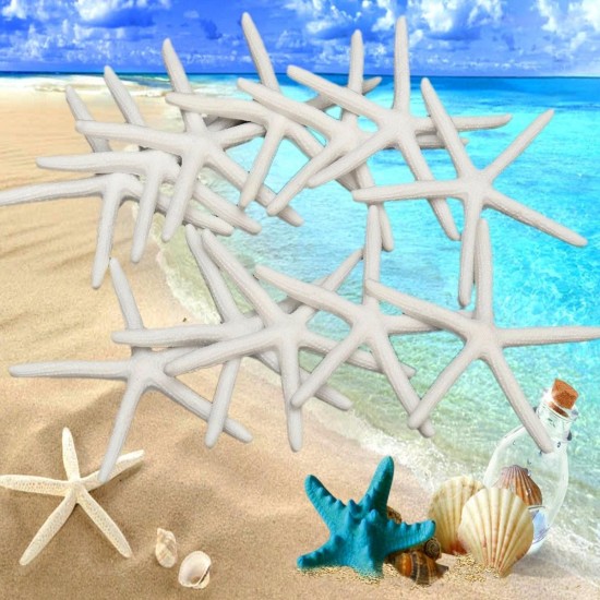 12Pcs Beautiful White Finger Starfish 3-4 inch Beach Wedding Coastal Decorations