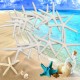 12Pcs Beautiful White Finger Starfish 3-4 inch Beach Wedding Coastal Decorations