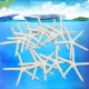 12Pcs Beautiful White Finger Starfish 3-4 inch Beach Wedding Coastal Decorations