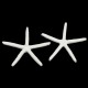 12Pcs Beautiful White Finger Starfish 3-4 inch Beach Wedding Coastal Decorations 12Pcs Beautiful White Finger Starfish 3-4 inch Beach Wedding Coastal Decorations